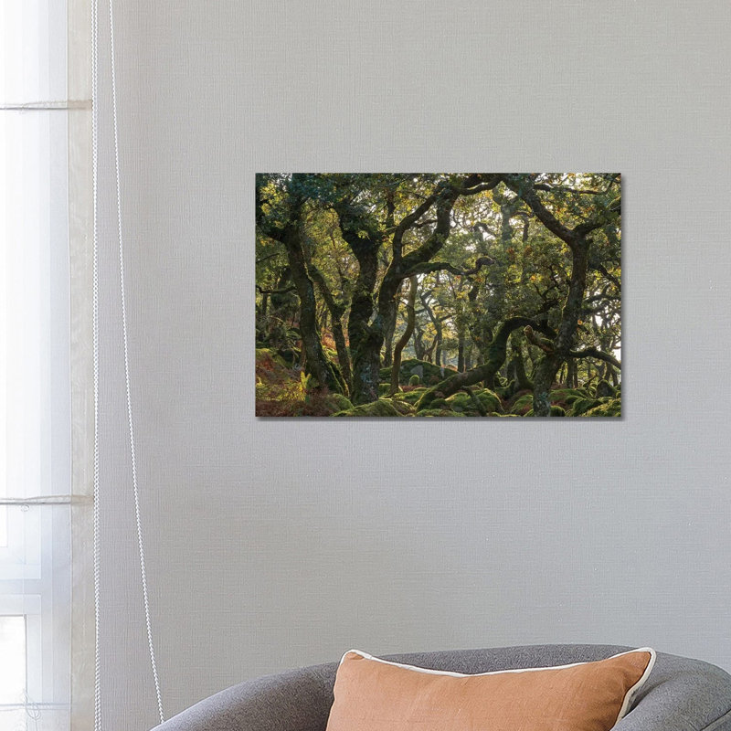 The Wild Wood by Adam Burton - Wrapped Canvas Gallery-Wrapped Canvas Giclée, 66.04 cm H x 45.72 cm W x 3.175 cm D