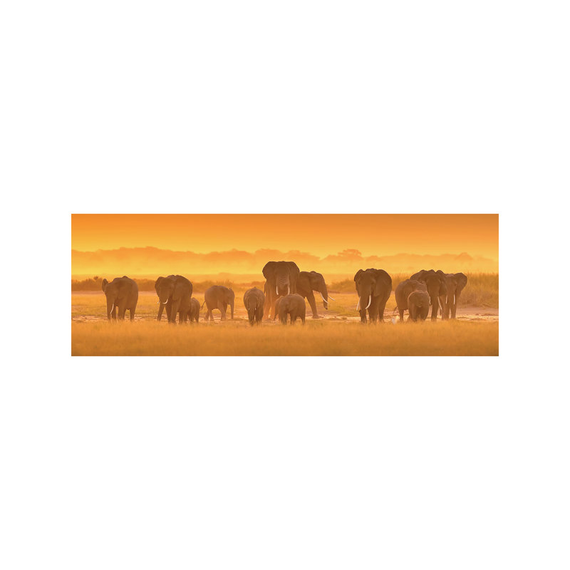 Golden Light by David Hua - Wrapped Canvas Panoramic Print, 30.48 cm H x 91.44 cm W x 1.91 cm D