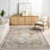 Cady SpinClean Machine Washable Transitional Area Rug