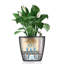 Classico Pot Planter-16493117-16493124