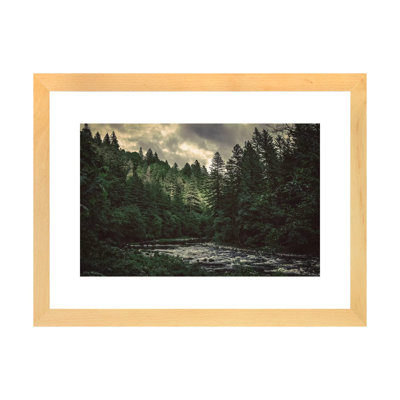Pacific Northwest River And Trees by Nature Magick - Print