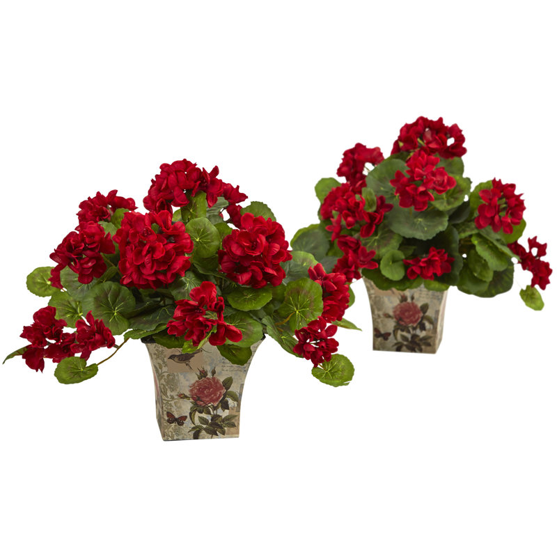 Geranium Arrangement in Planter