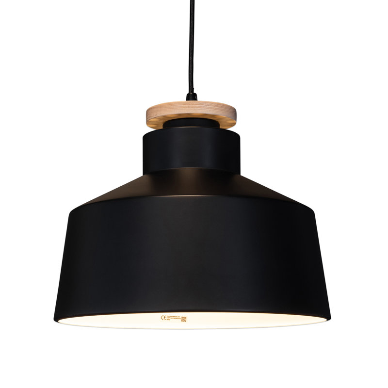 Jaynes 1 - Light Single Pendant, Black