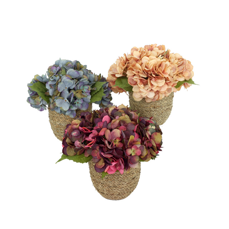 Arrangements floraux d'hortensias d'automne Carytown, Bleu / rouge / pêche