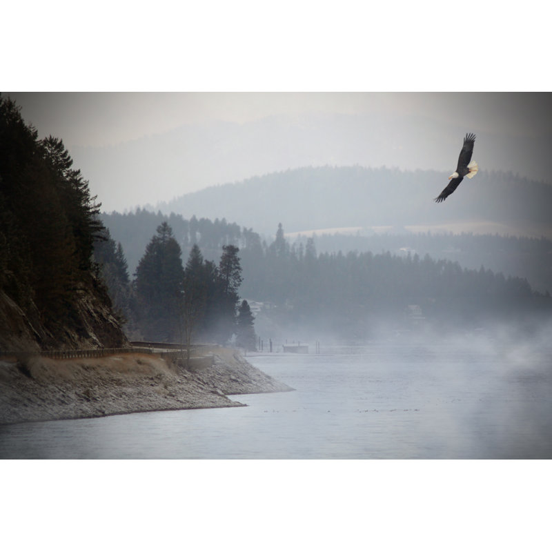 Eagle Flying Over Lake - Wrapped Canvas Print, 81cm H x 122cm W x 3.8cm D
