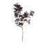 Ensemble de 2 branches 41 po Barringer-129903251