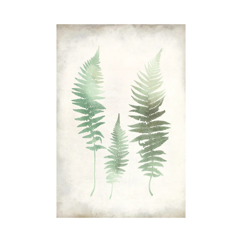 Watercolour Fern I Vintage by Kimberly Allen - Wrapped Canvas Print, 101.6 cm H x 66.04 cm W x 1.91 cm D
