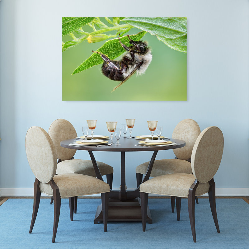 Abeille duveteuse sous une feuille, abeille abstraite vibrante, fleur, nature, affiche murale, H 32 po x l 48 po