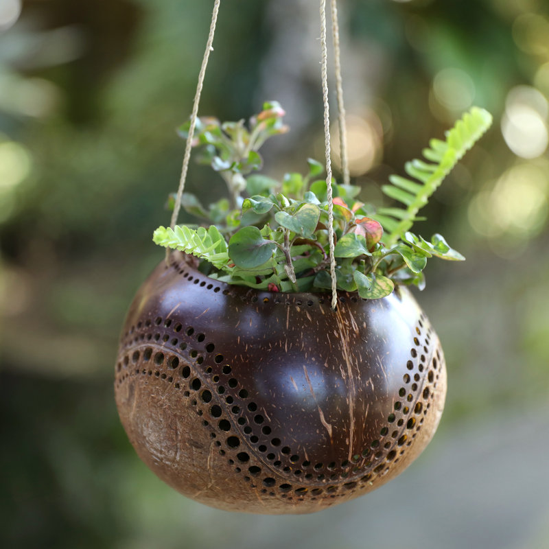 Novica Handmade Riverside Coconut Shell Hanging Planter