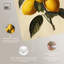 Impression sur toile Zesty Precision par Art Remedy-110295303-110295309