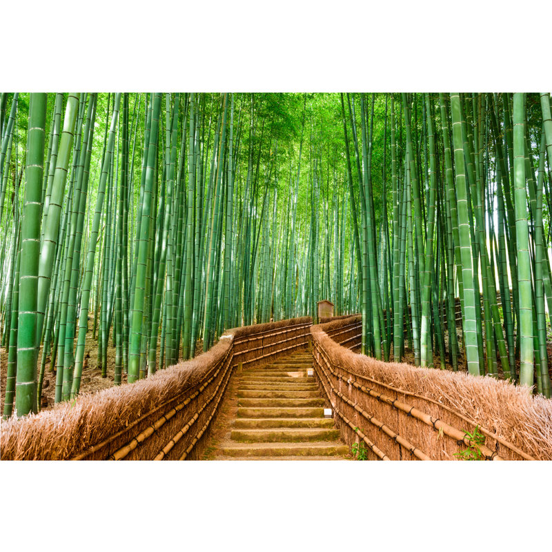 Murale forêt de bambou Mancelona Arashiyama, H 108 po x l 96 po