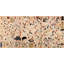 Cats Suggested As the Fifty-three Stations of the Tokaido 1 Piece Wrapped Canvas Wall Art-1681009565