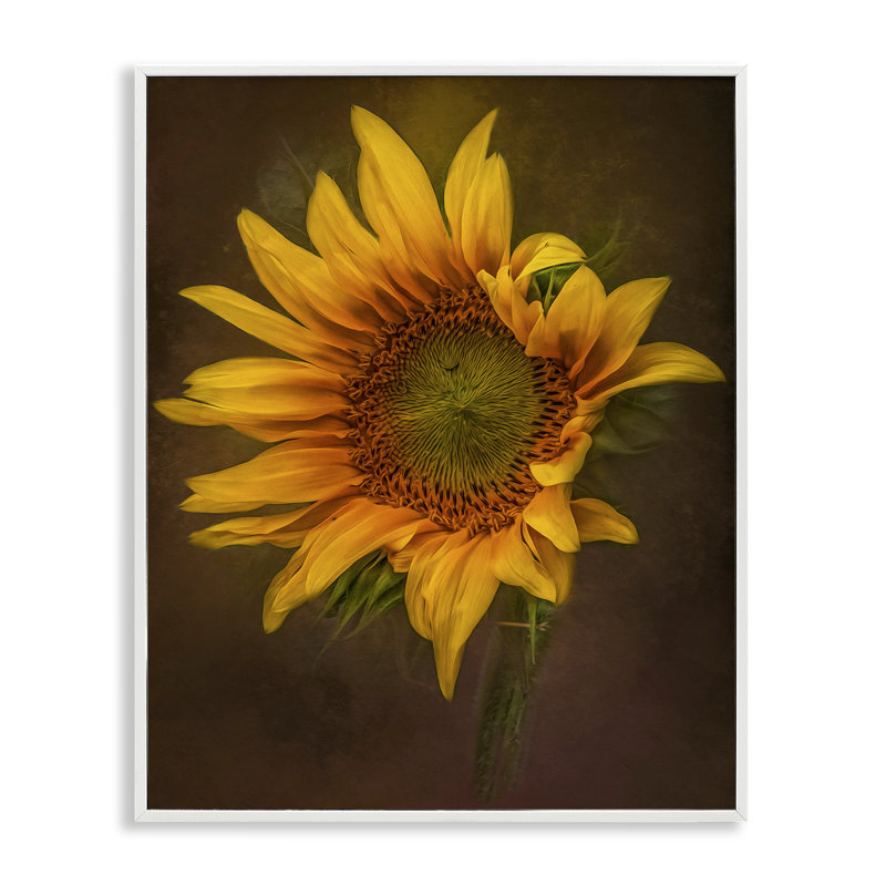 Art de giclée tournesol de pétales de curling par Kelley Parker, Estampe numérique encadrée blanc bord de mer