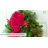 Adapt Top & Length Adjustable Wreath Hangers-41170472