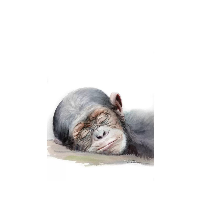 Sleeping Baby Chimpanzee by Watercolor Luv - Wrapped Canvas Gallery-Wrapped Canvas Giclée, 30.48cm H x 20.32cm W