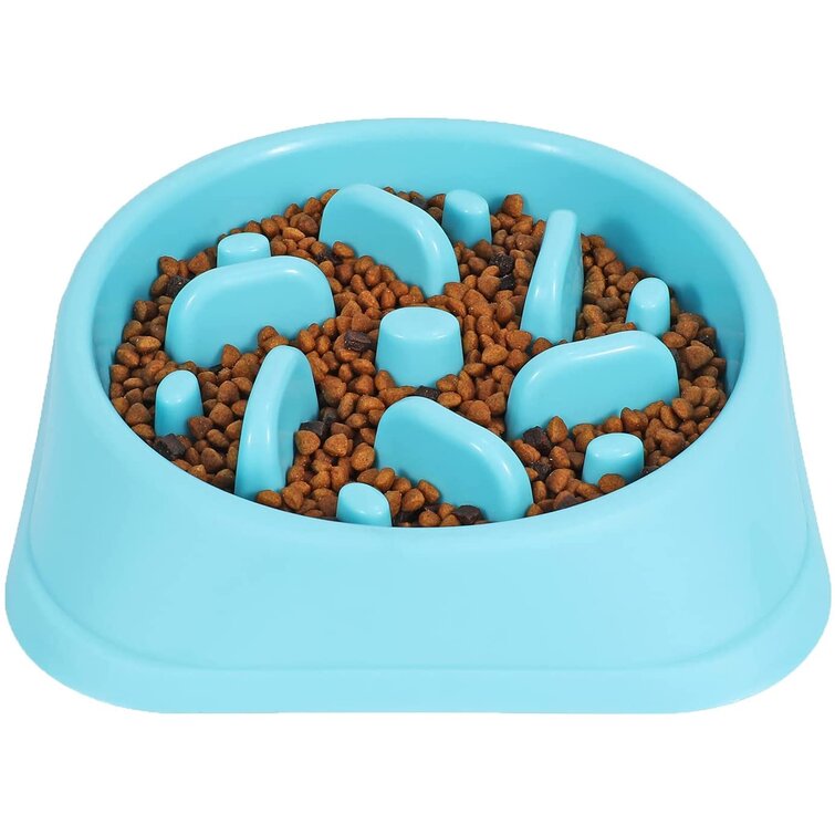 Slow Feeder Dog Bowls for Small Dogs and Cats 3 in 1 Double Dog Food Bowl