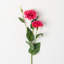 Lisianthus Flower Stems
