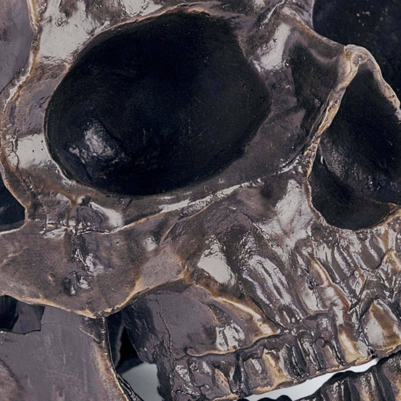 Metal Skull, Bronze