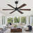 Cissline 52" Modern Black Ceiling Fan with Remote for Bedroom or Living Room