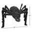 PAINTED TWIG SPIDER - BLACK