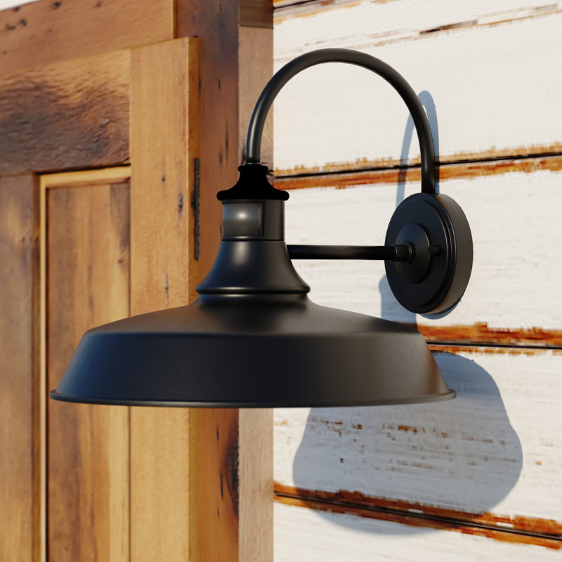 Lampe de grange d'extérieur à 1 ampoule Gunnora avec poussière à l'aube, 13,25 po H x 15 po L x 16 po P
