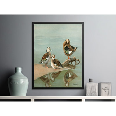 Beaulieu Print