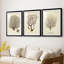 Esper Sea Fans I - reproduction sur mesure encadrée de qualité supérieure - 3 pièces-1607683334-1607683332