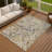 Machine Washable Indoor/Outdoor Jozwiak ACN2389 Abstract Rug-2022701862