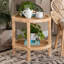 Aleighya End Table