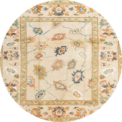 Oriental Indoor Rug