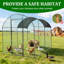 6m² Chicken Run