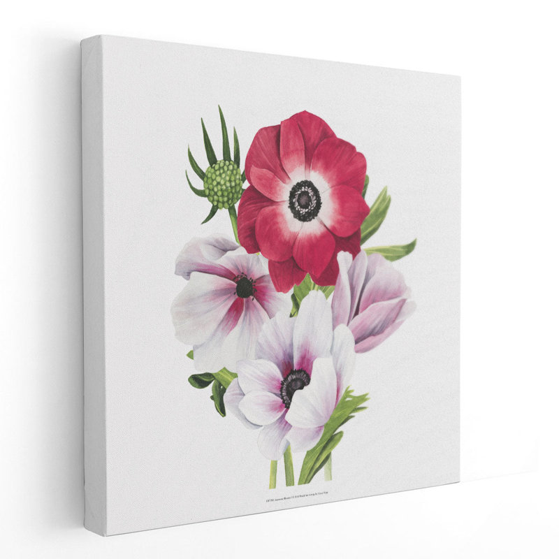 «Anemone Blooms I», reproduction d'art sur toile, H 12 po x l 12 po