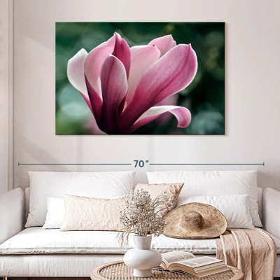 Fleur de magnolia Harnek en fleurs