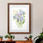 " Columbine Spray II " Painting Print-601813550-601813549