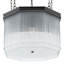 CDJ Chandelier Estela bronze highlight finish clear glass