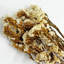 Bundle of 4 Dried Preserved Myosotis Forget-Me-Nots Bouquets 21"-111078519