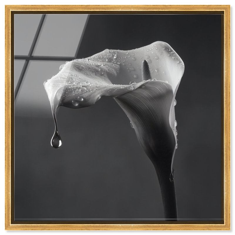 Midnight Rain Print by Oliver Gal, 31"H x 31"W, Gold Floater Frame