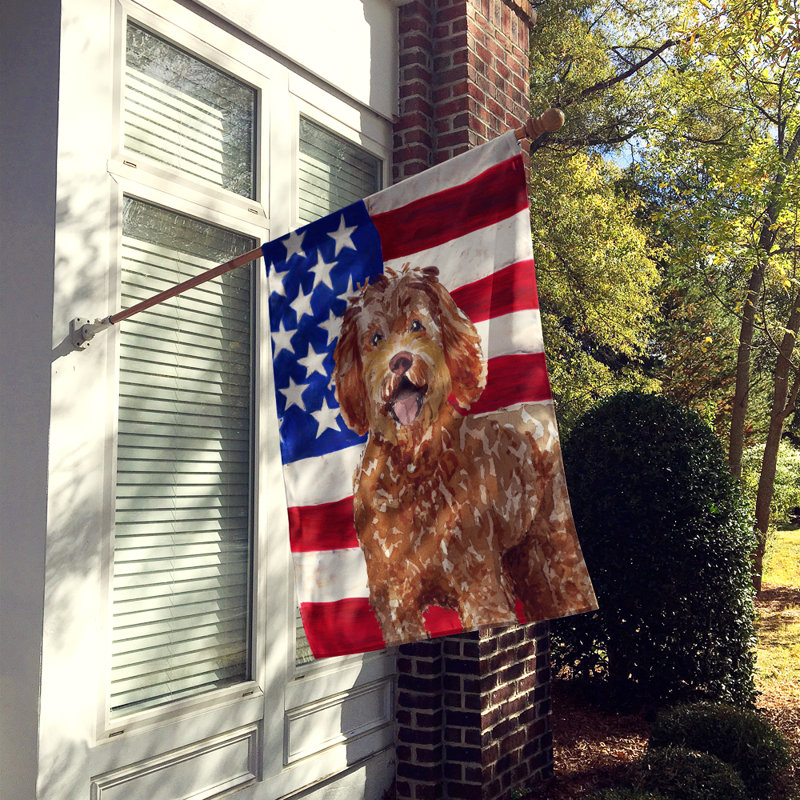 Drapeau de maison en polyester à 2 côtés Shahnur, Labradoodle