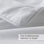 Bedding