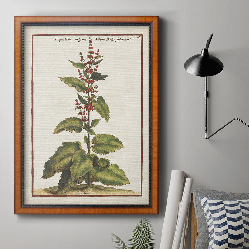 «Munting Botanicals IV», toile encadrée de qualité supérieure - prête à être accrochée, H 20 po x l 16 po x P 2,5 po