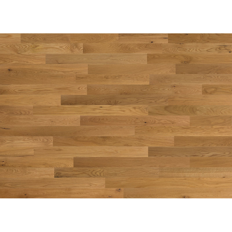 Planches de bois Timberchic Oak, Chêne naturel, L 4 po