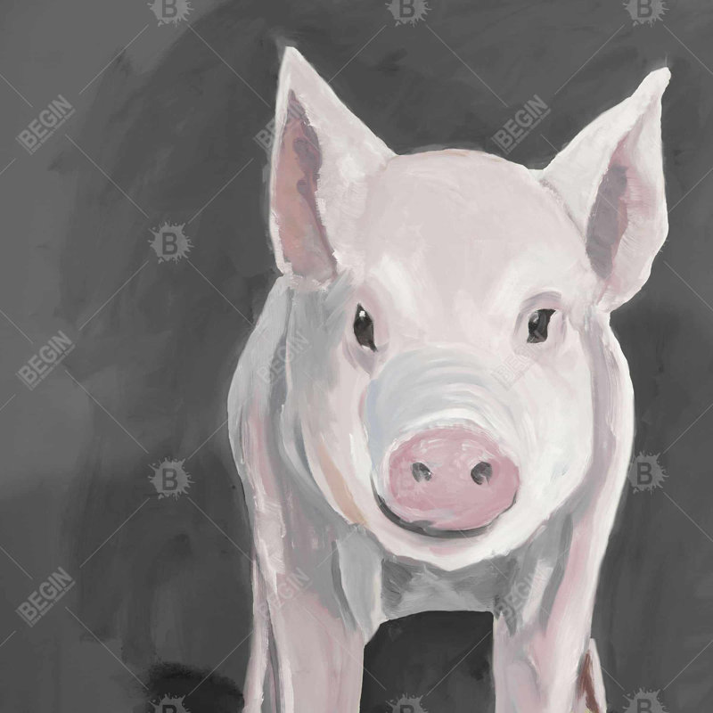 " Little Piglet "
