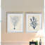 Reproduction d’art graphique encadrée, ensemble de 2 reproductions d’art sur papier