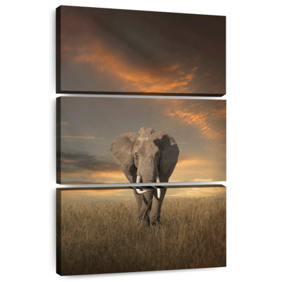 Brampt Savanna Mammoth