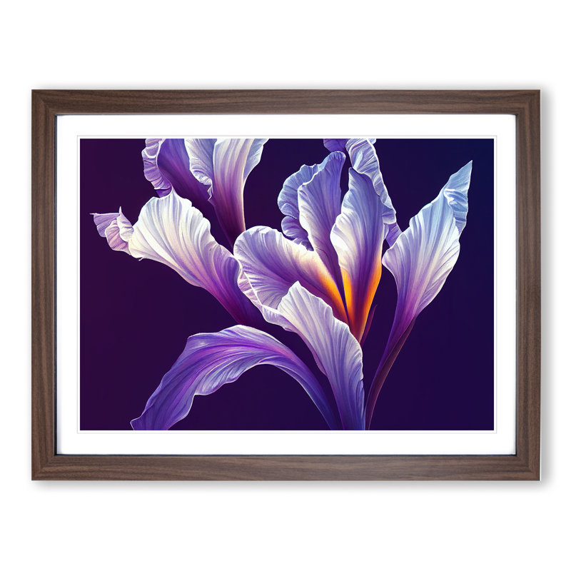 Fancy Iris Flowers 1 Piece Single Picture Frame Painting, 34cm H x 46cm W x 2cm D, Walnut