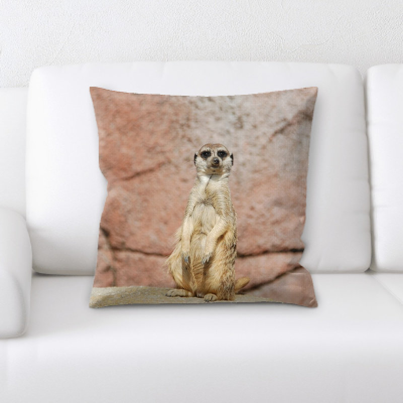 Coussin suricate