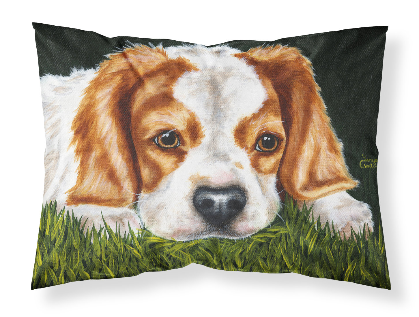 Caroline's Treasures Cavalier Spaniel in the Grass Pillowcase