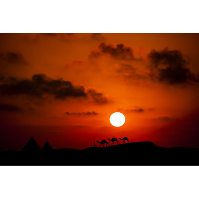Desert Sun par Pleasureofart