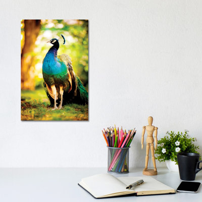 Peacock On The Sun by Nik Rave - Wrapped Canvas Gallery-Wrapped Canvas Giclée