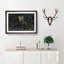 Portrait of a Fox - Picture Frame Painting Print-56758604-56758605
